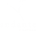 Andante Vineyard