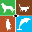 Animal Eye Associates