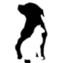 Animal Hospital of North Gwinnett