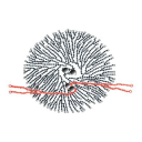 APBD Research Foundation