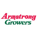 armstrong growers
