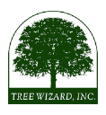 Tree Wizard