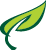 Aurora Health and Rehabilitation