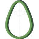 Avicado