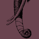 Back Bay Veterinary Clinic