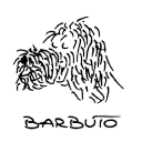 Barbuto