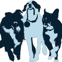 Barks and Recreation LLC
