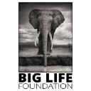 Big Life Foundation