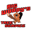 Big Woody's Tree Service, LLC