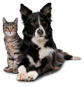 Birchwood Veterinary Clinic