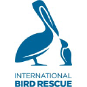 International Bird Rescue