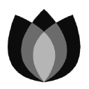 Black Tulip Recruitment