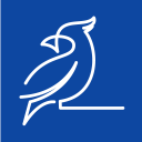 Blue Cardinal