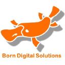Born Digital Solutions