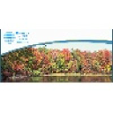 Brunswick Dental Health Associates