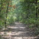 Briarwood