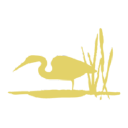 The Campbell Foundation