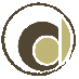 Capitol Dental