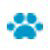 Care Animal Hospital