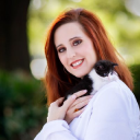 Cat Care Center