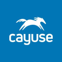 Cayuse