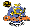 Cheetah Electric