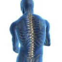 Chiropractic Life