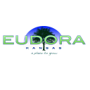 City of Eudora