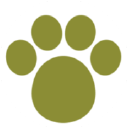 City Pets Animal Clinic