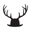Common Deer