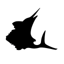 Contender Boats, Inc.