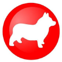 Corgi