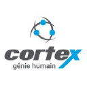 Cortex génie humain