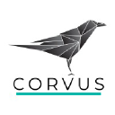Corvus