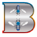 Crystal Bees