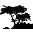 Cypress Capital Group