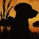 Cypress Lake Animal Hospital