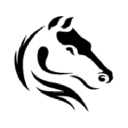 Darkhorse Analytics