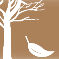 Direct Cremation Services of Virginia