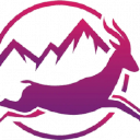 Double Leap LLC
