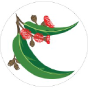 Downes Wholesale Nursery