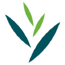 Dubai Herbal & Treatment Centre
