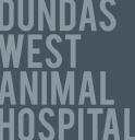 Dundas West Animal Hospital