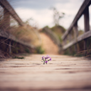 Dunes Hospice