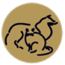 Emergency Veterinary Care Centers