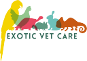 Exotic Vet Care