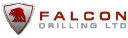 Falcon Drilling