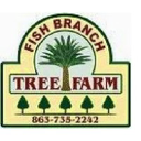 Fish Branch Tree Farm, Inc.