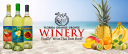 Florida Orange Groves Winery