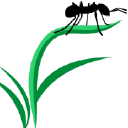 Ford's Hometown Services